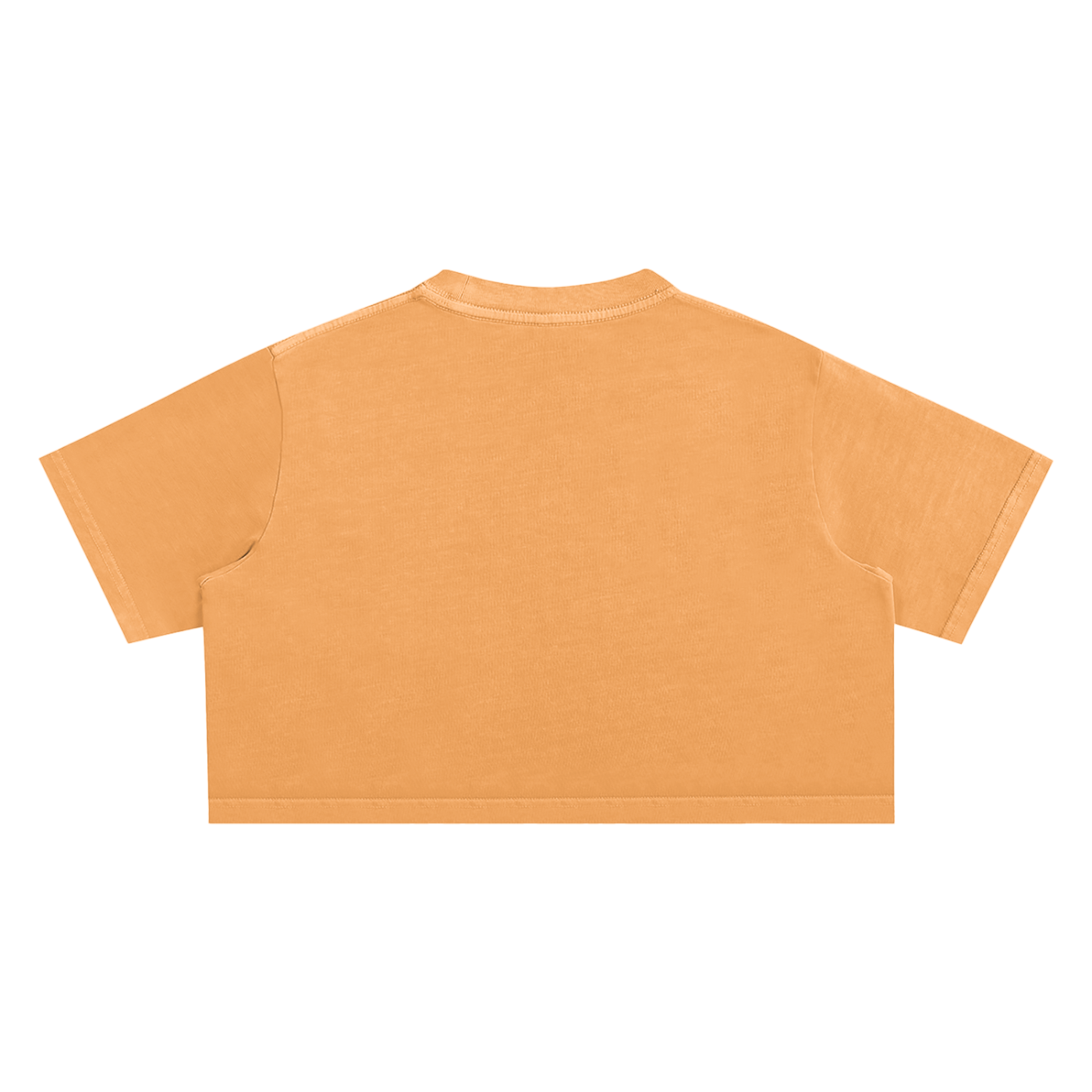 JaeBizzle Snow Washed Crop Top