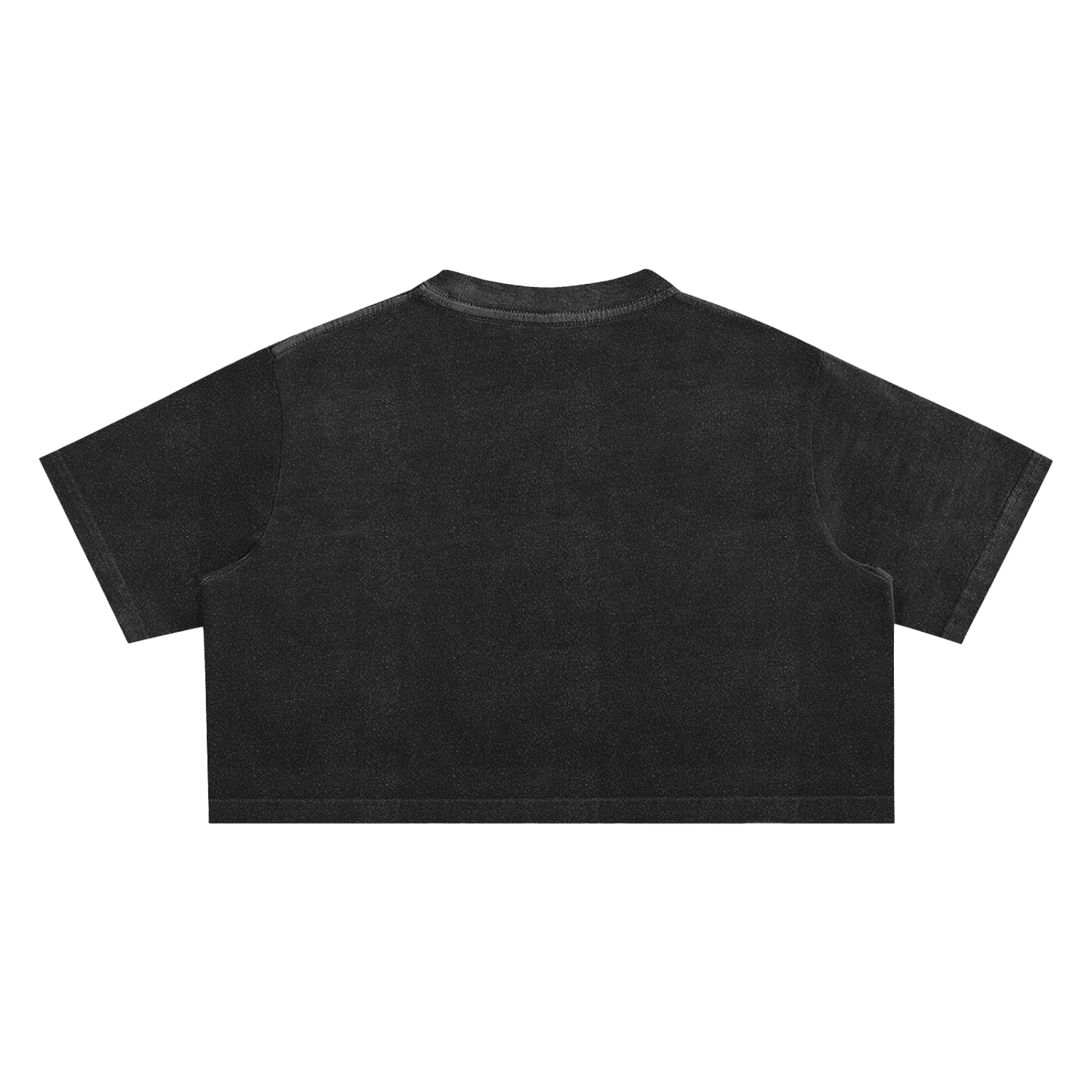 JaeBizzle Snow Washed Crop Top